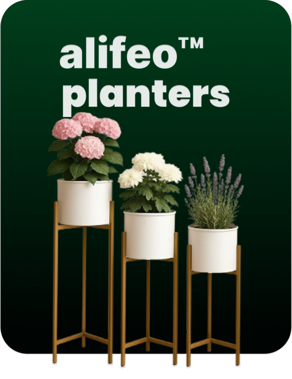 alifeo Planter